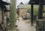 Photo Number 7