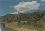 Photo Number 13