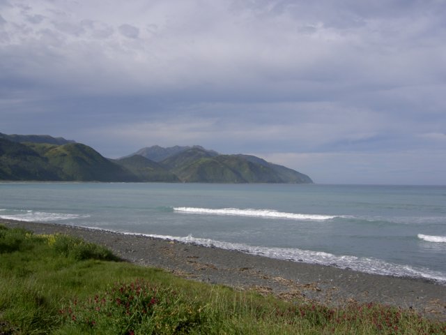 Photograph