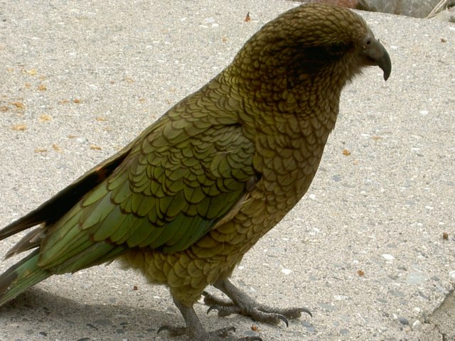 Photograph