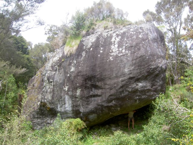 Photograph