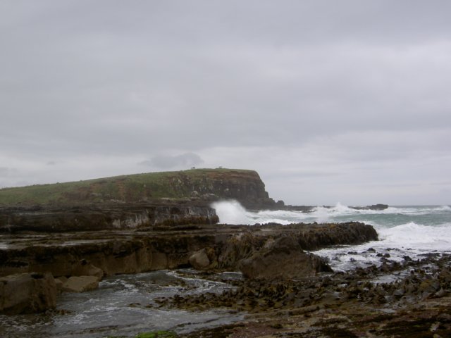 Photograph