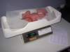 Photo Number 6